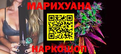 сатива Будённовск