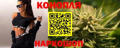 сатива Будённовск