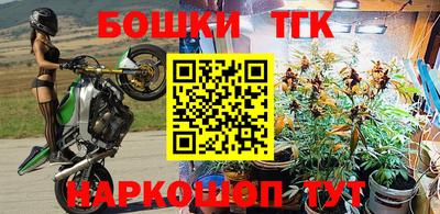 сатива Будённовск