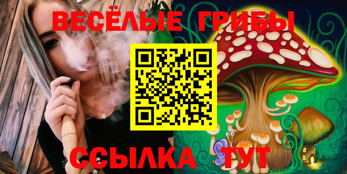 Кунгур  Псилоцибиновые грибы MAGIC MUSHROOMS  Вход с VPN 